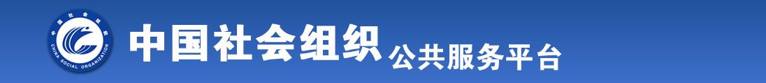 骚逼AV全国社会组织信息查询